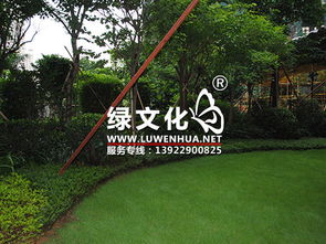 園林綠化養護 守護城市綠色生態的關鍵之道