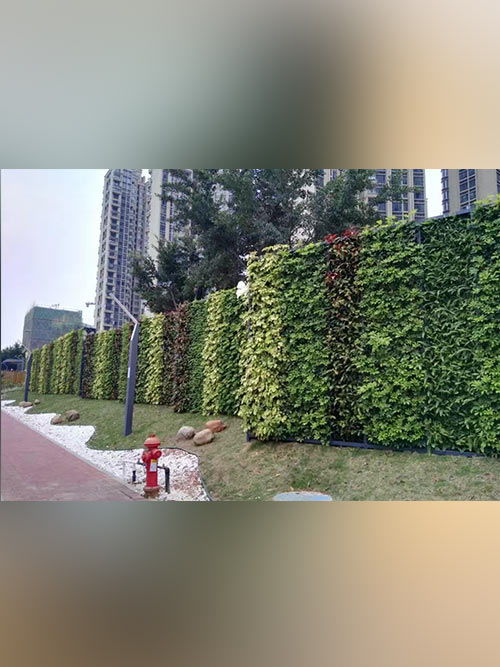 北京城市綠化養護的現狀與優化策略