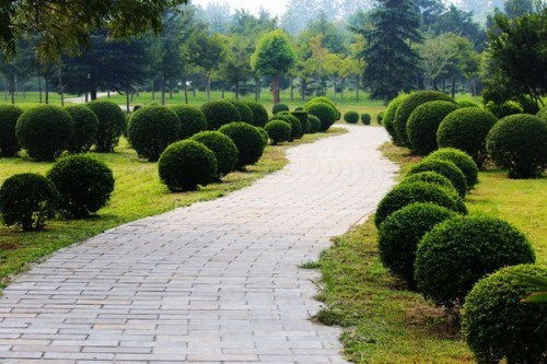 園林綠化養護期 揭秘成活養護期與保存養護期的關鍵內涵
