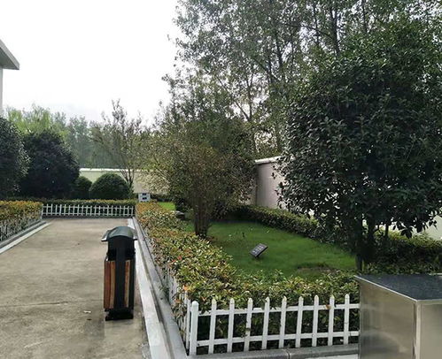合肥綠化養護 綠色城市的守護者