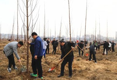 孝昌 植樹正當時 萬株新綠美城鄉 綠化養護精益求精